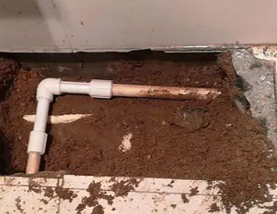 拉孜测漏水哪家好