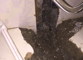 拉孜卫生间测漏水哪家好