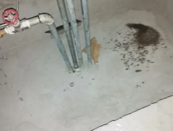 拉孜卫生间测漏水价格明细