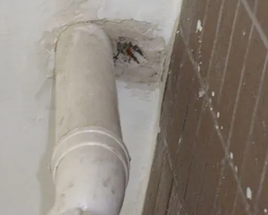 拉孜漏水检测哪家好